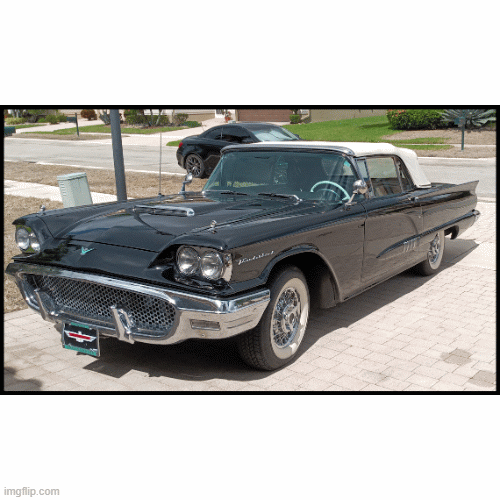 58-t-bird-gif